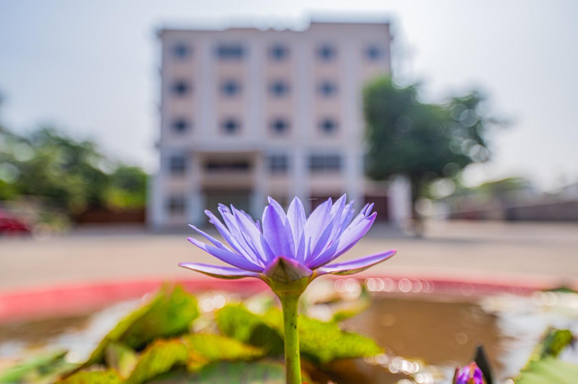 Lotus Leaf Pali (Raigad) Exterior foto